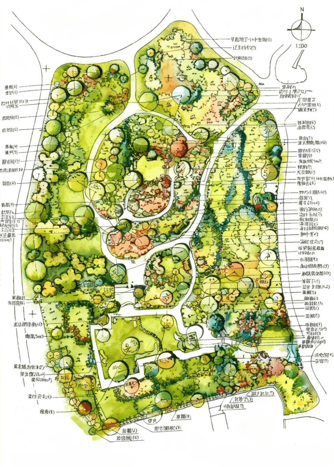Landscape Rendering AI: Before-and-After Guide with ColorLand's Planting Plan Linework to Watercolor Color Plan Template